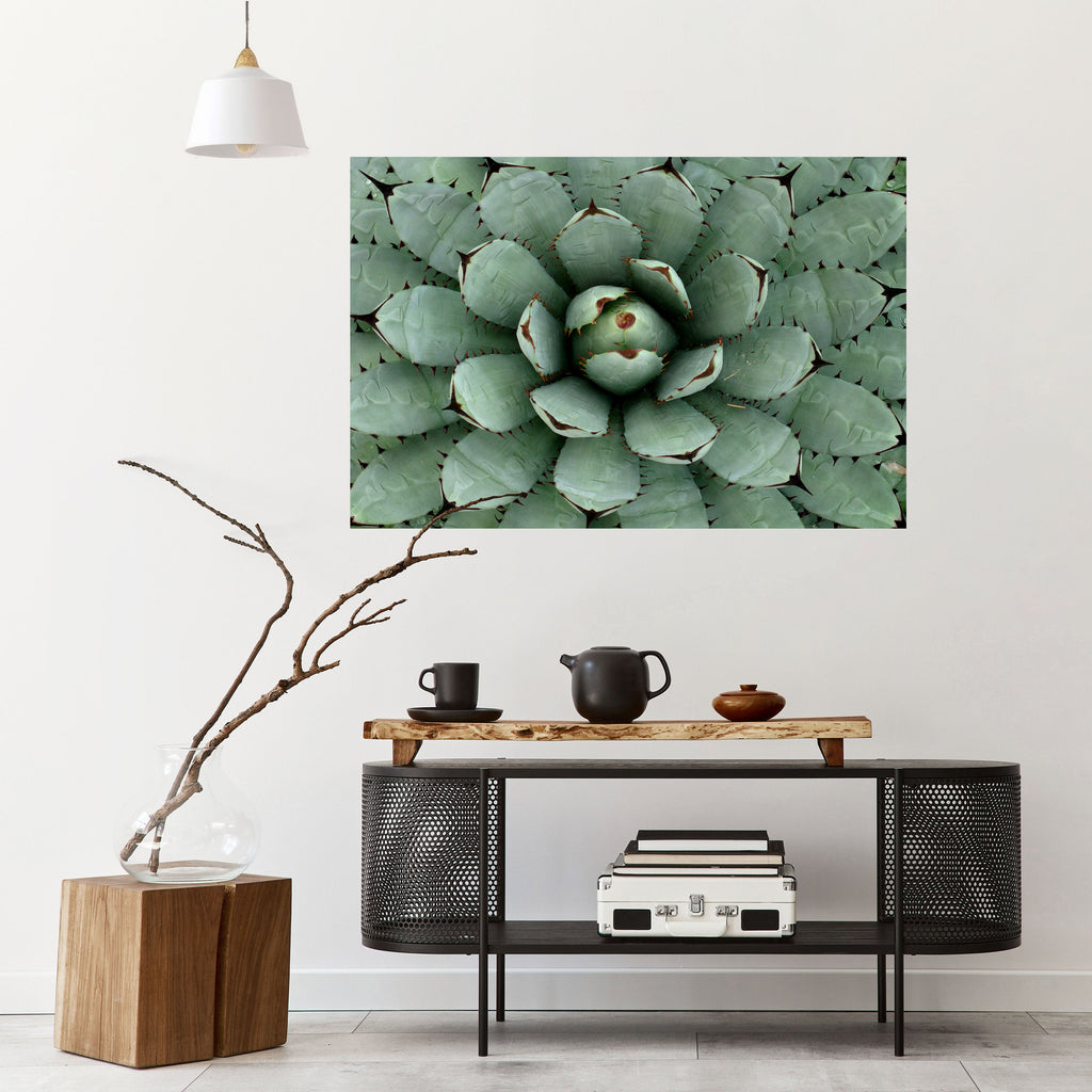 SUCCULENT SYMMETRY Peel and Stick Horizontal Poster