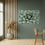 SUCCULENT SYMMETRY Peel and Stick Horizontal Poster