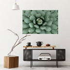 SUCCULENT SYMMETRY Peel and Stick Horizontal Poster