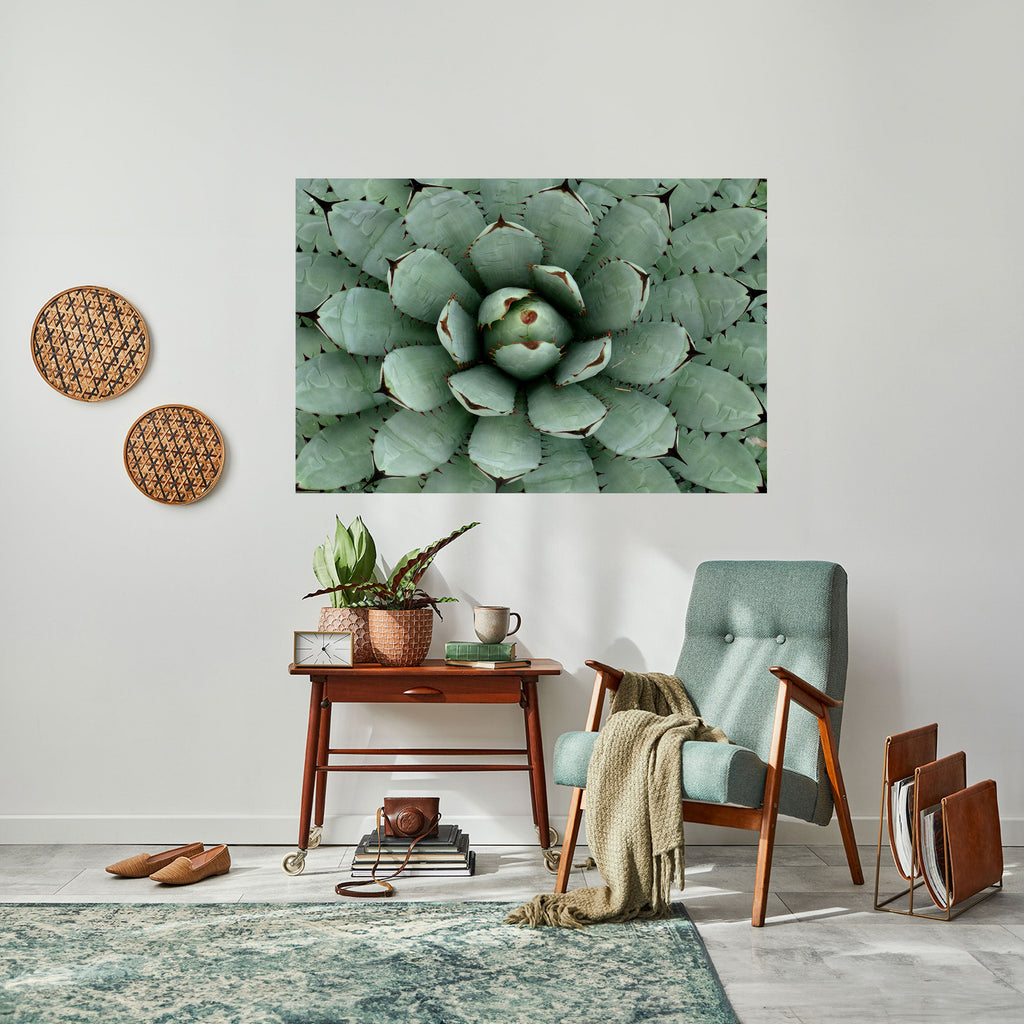 SUCCULENT SYMMETRY Peel and Stick Horizontal Poster