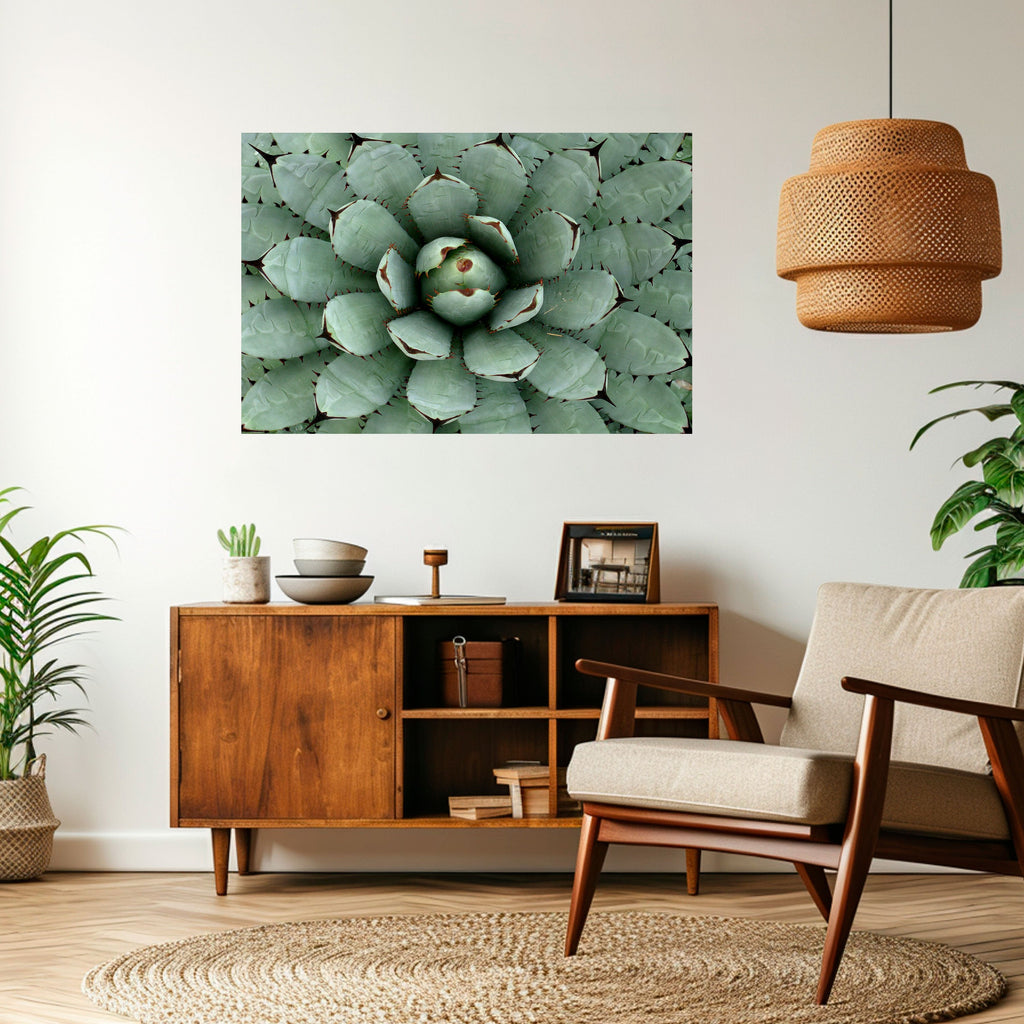 SUCCULENT SYMMETRY Peel and Stick Horizontal Poster