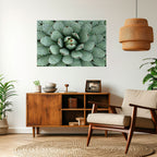 SUCCULENT SYMMETRY Peel and Stick Horizontal Poster