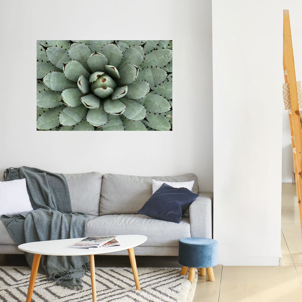 SUCCULENT SYMMETRY Peel and Stick Horizontal Poster