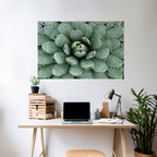 SUCCULENT SYMMETRY Peel and Stick Horizontal Poster