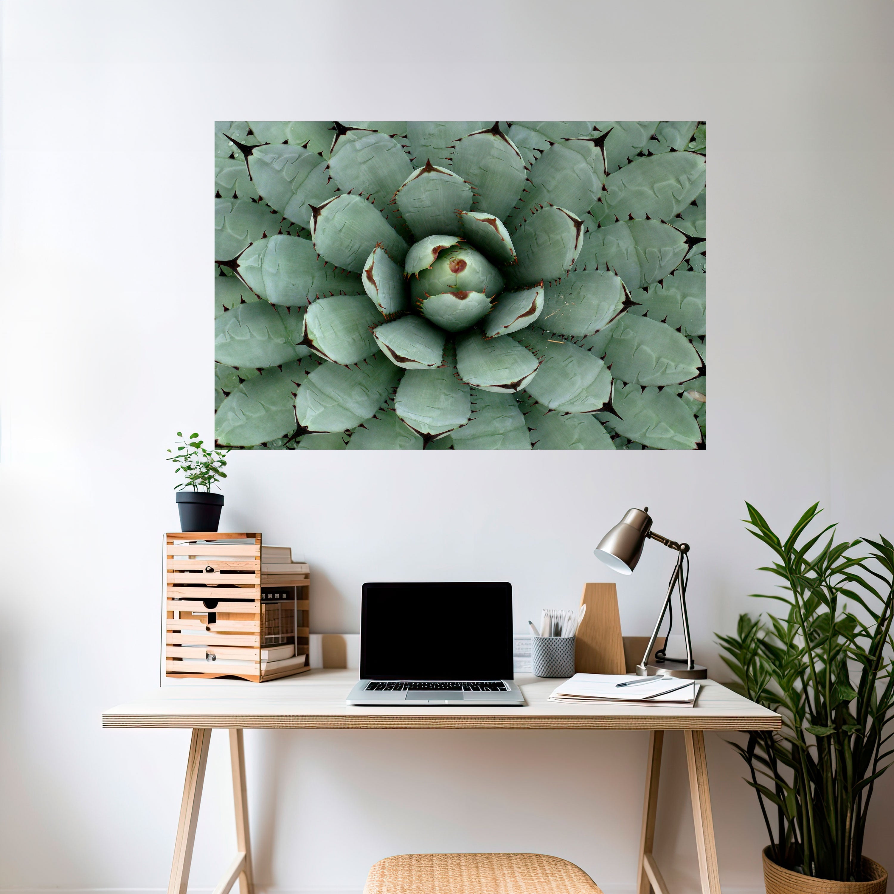 SUCCULENT SYMMETRY Peel and Stick Horizontal Poster