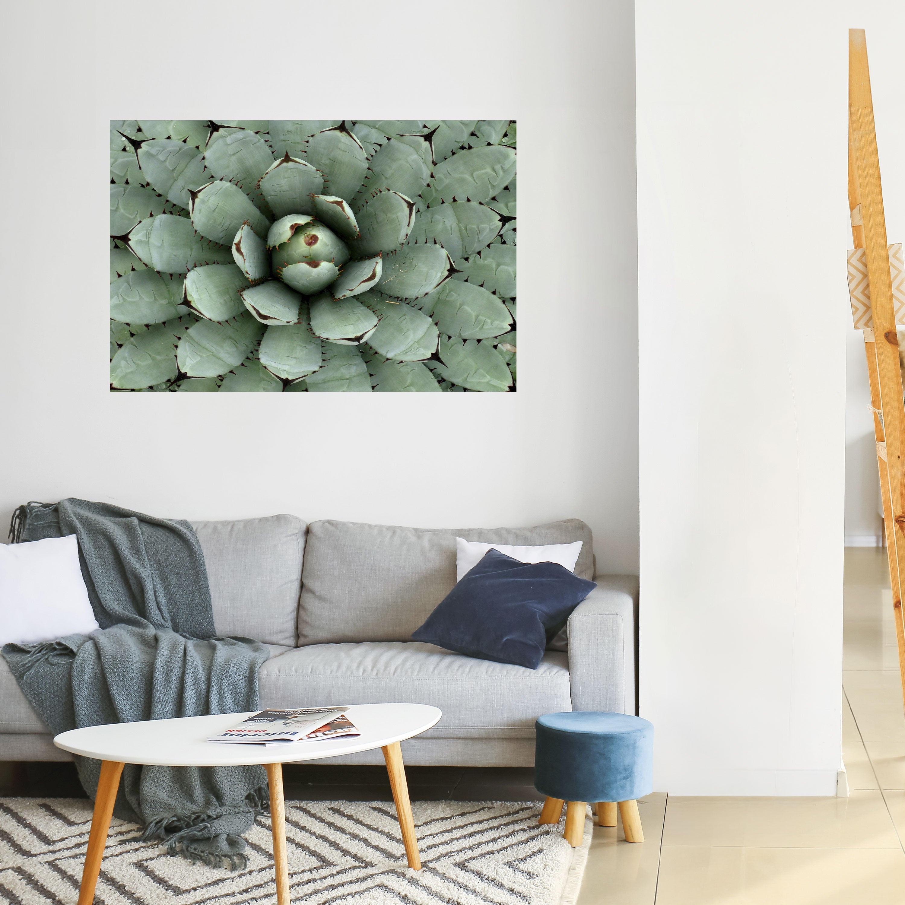 SUCCULENT SYMMETRY Peel and Stick Horizontal Poster