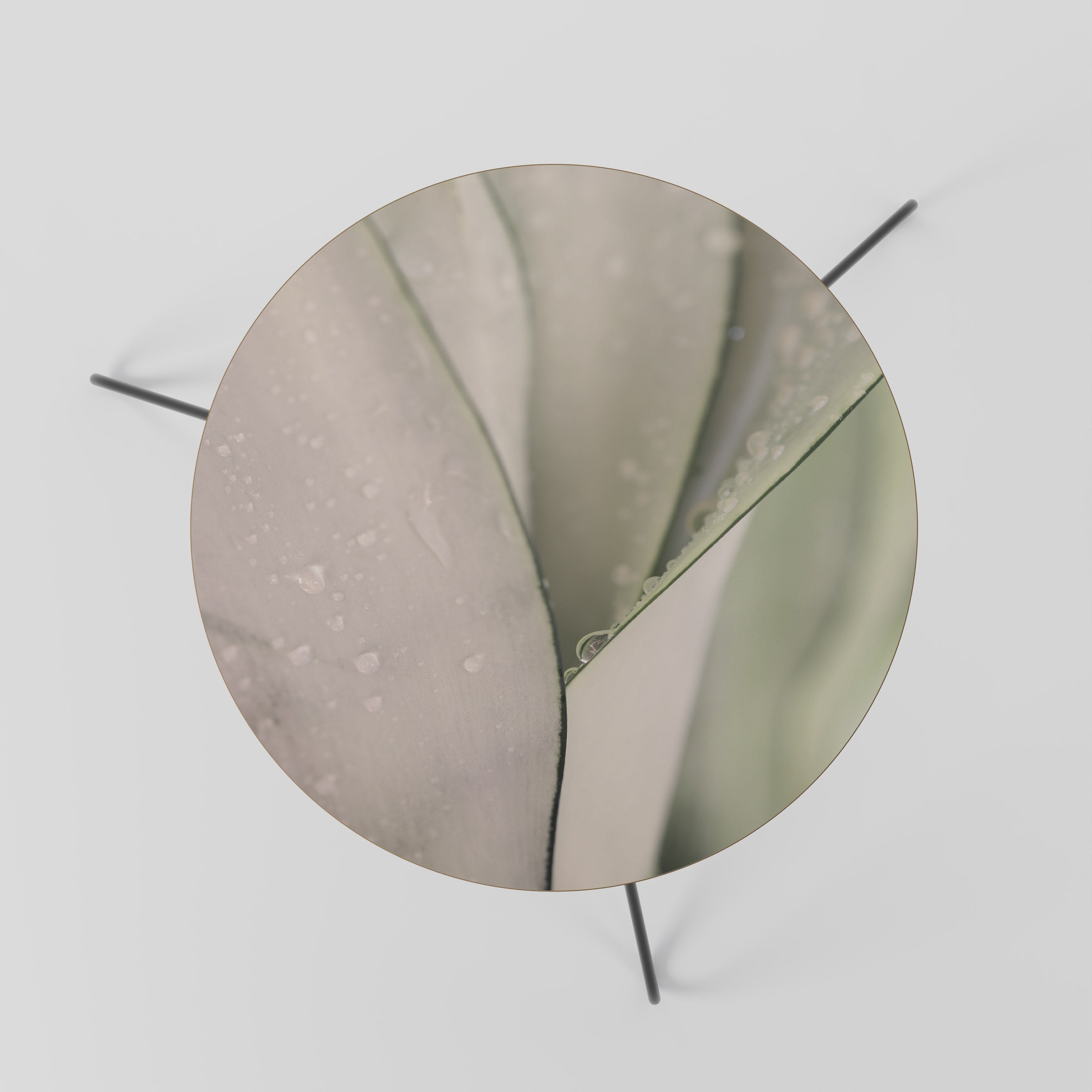 NATURE'S TAPESTRY Coffee Table 60