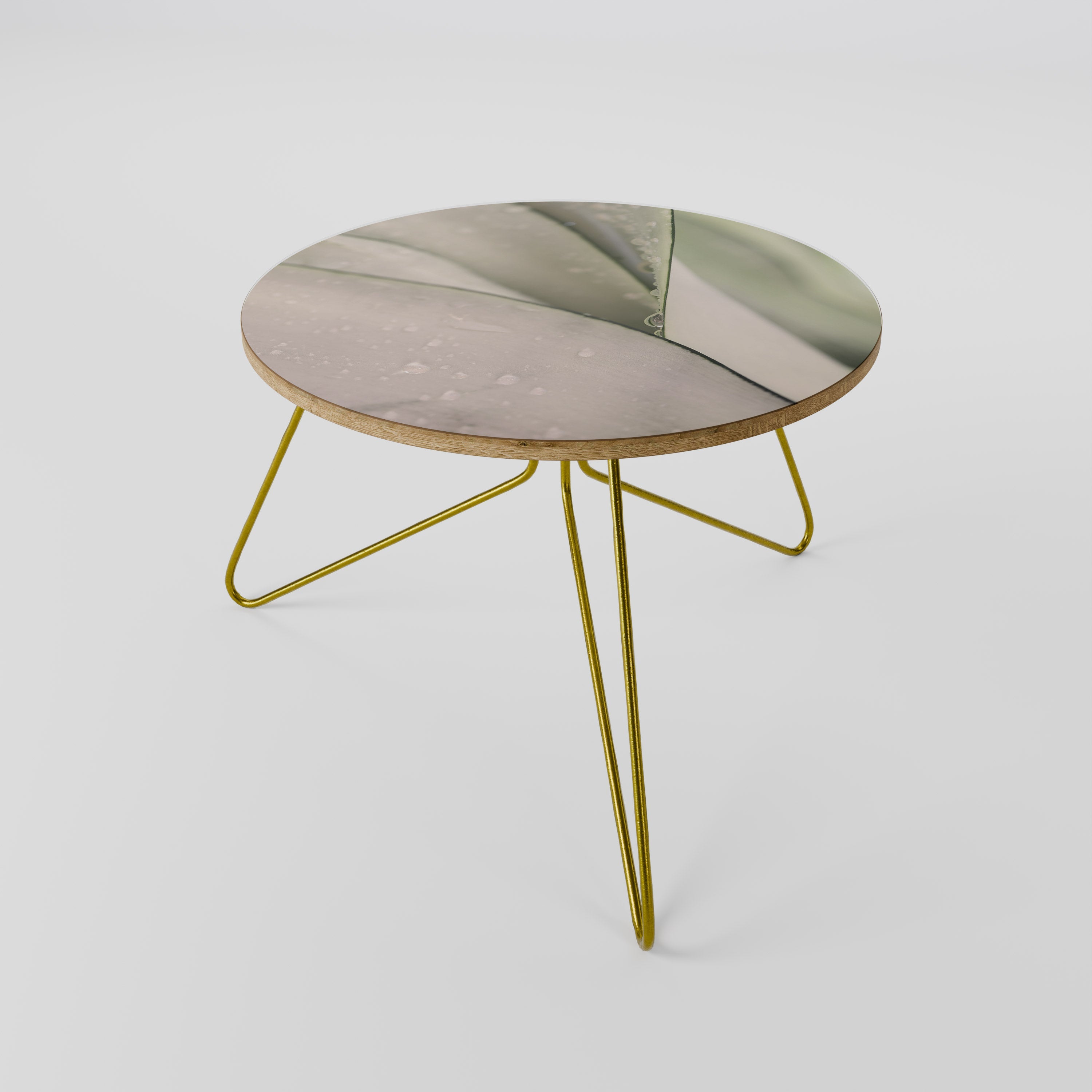 NATURE'S TAPESTRY Coffee Table 60