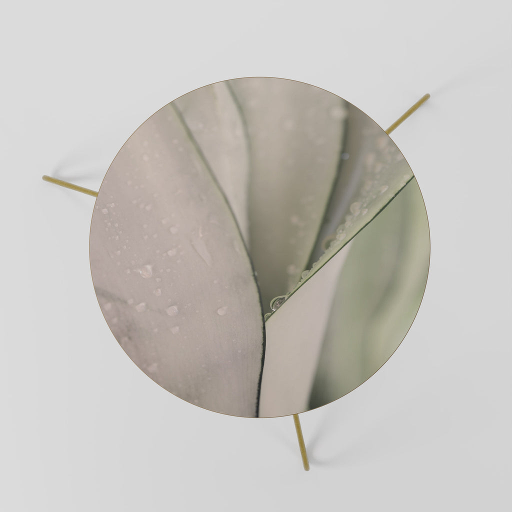 NATURE'S TAPESTRY Mesa de Centro 60