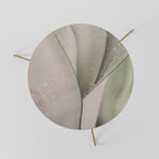 NATURE'S TAPESTRY Mesa de Centro 60