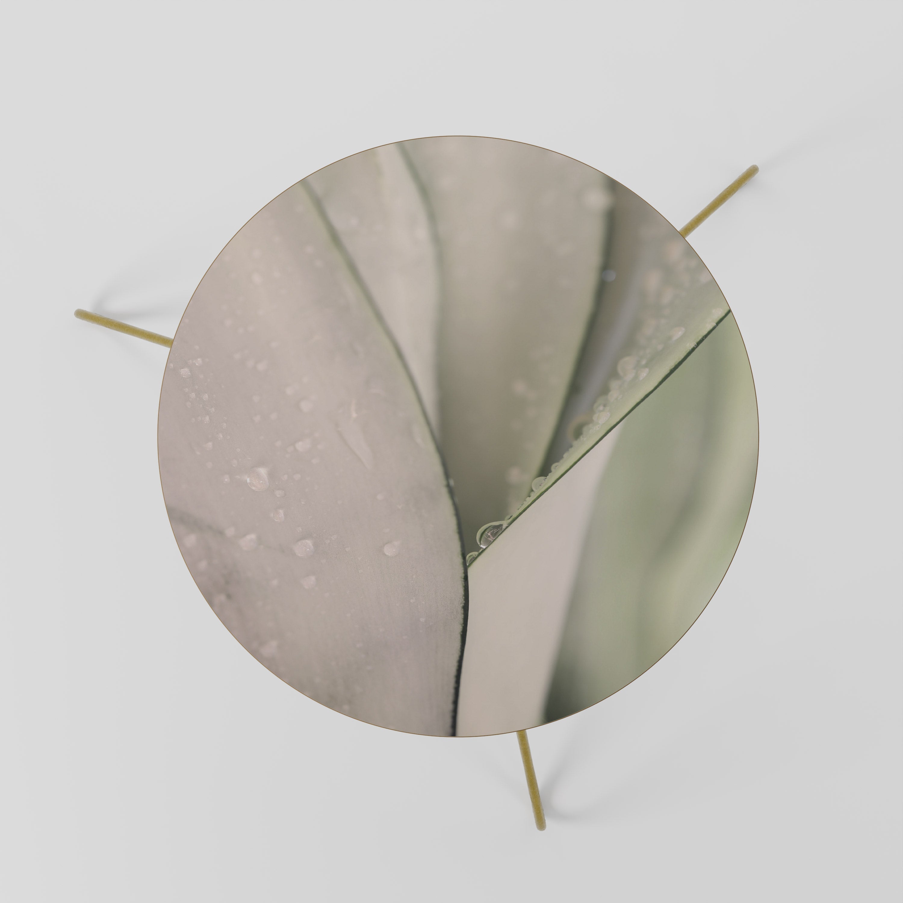 NATURE'S TAPESTRY Mesa de Centro 60