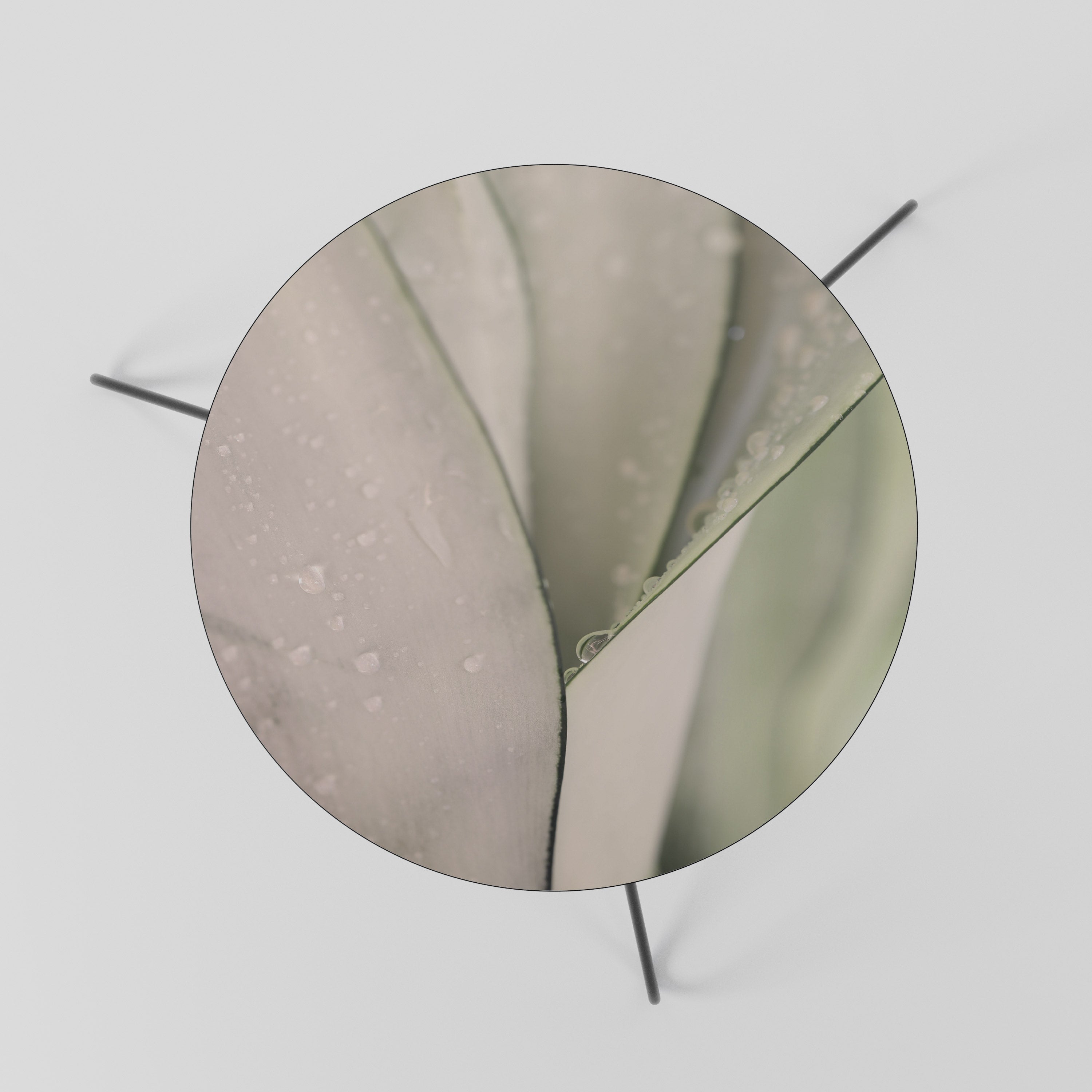 NATURE'S TAPESTRY Mesa de Centro 60