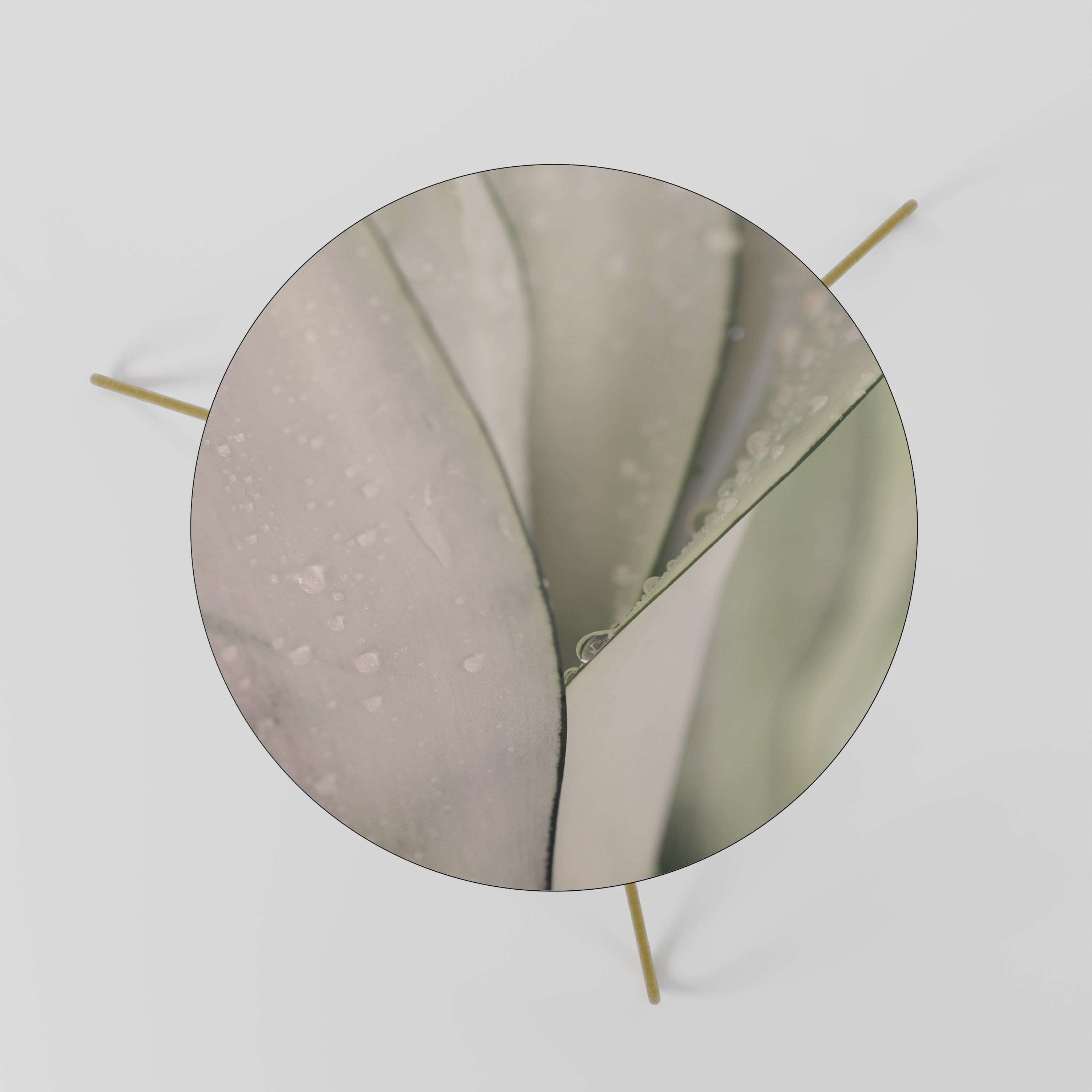 NATURE'S TAPESTRY Mesa de Centro 60