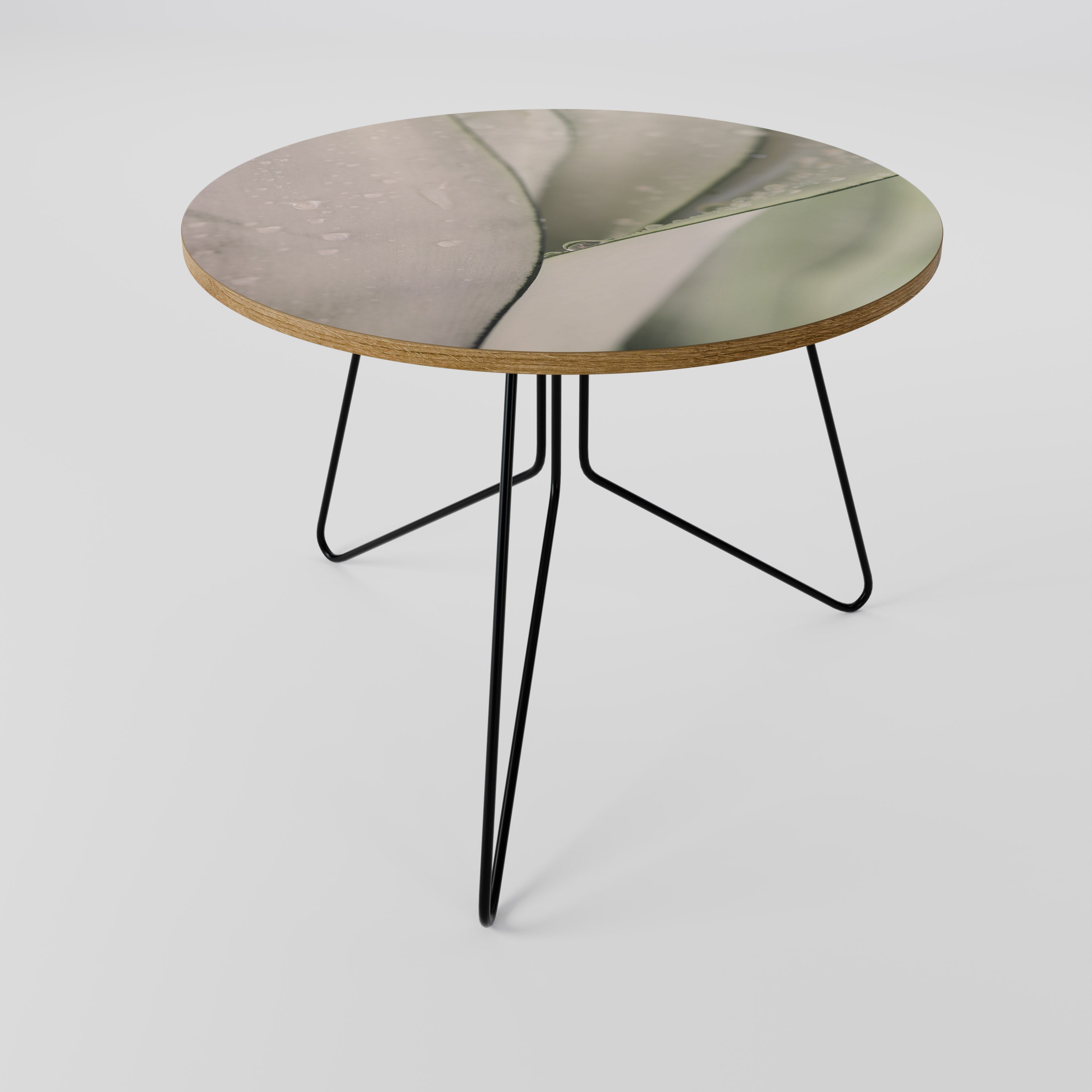 NATURE'S TAPESTRY Mesa de Centro