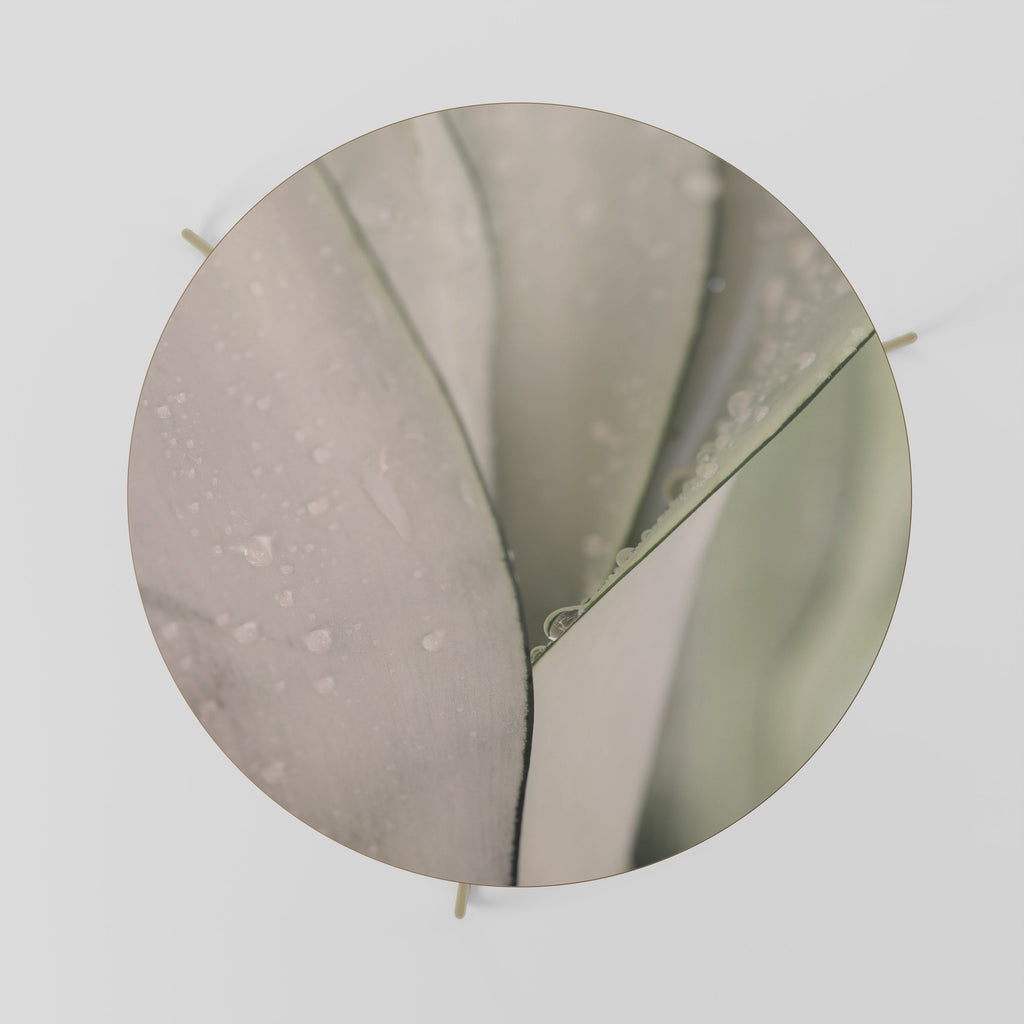 NATURE'S TAPESTRY Mesa de Centro 69