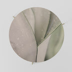 NATURE'S TAPESTRY Mesa de Centro 69