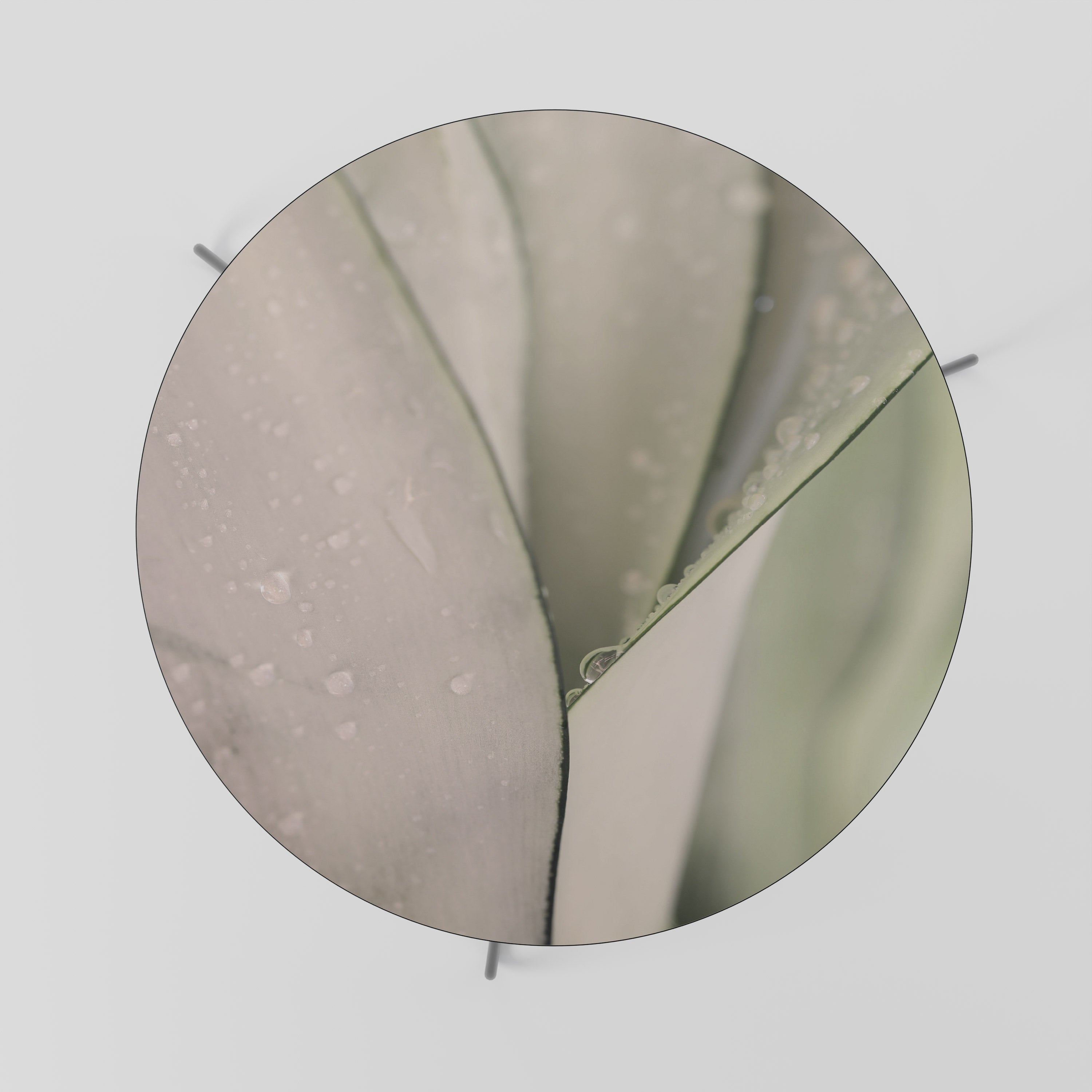 NATURE'S TAPESTRY Mesa de Centro 69