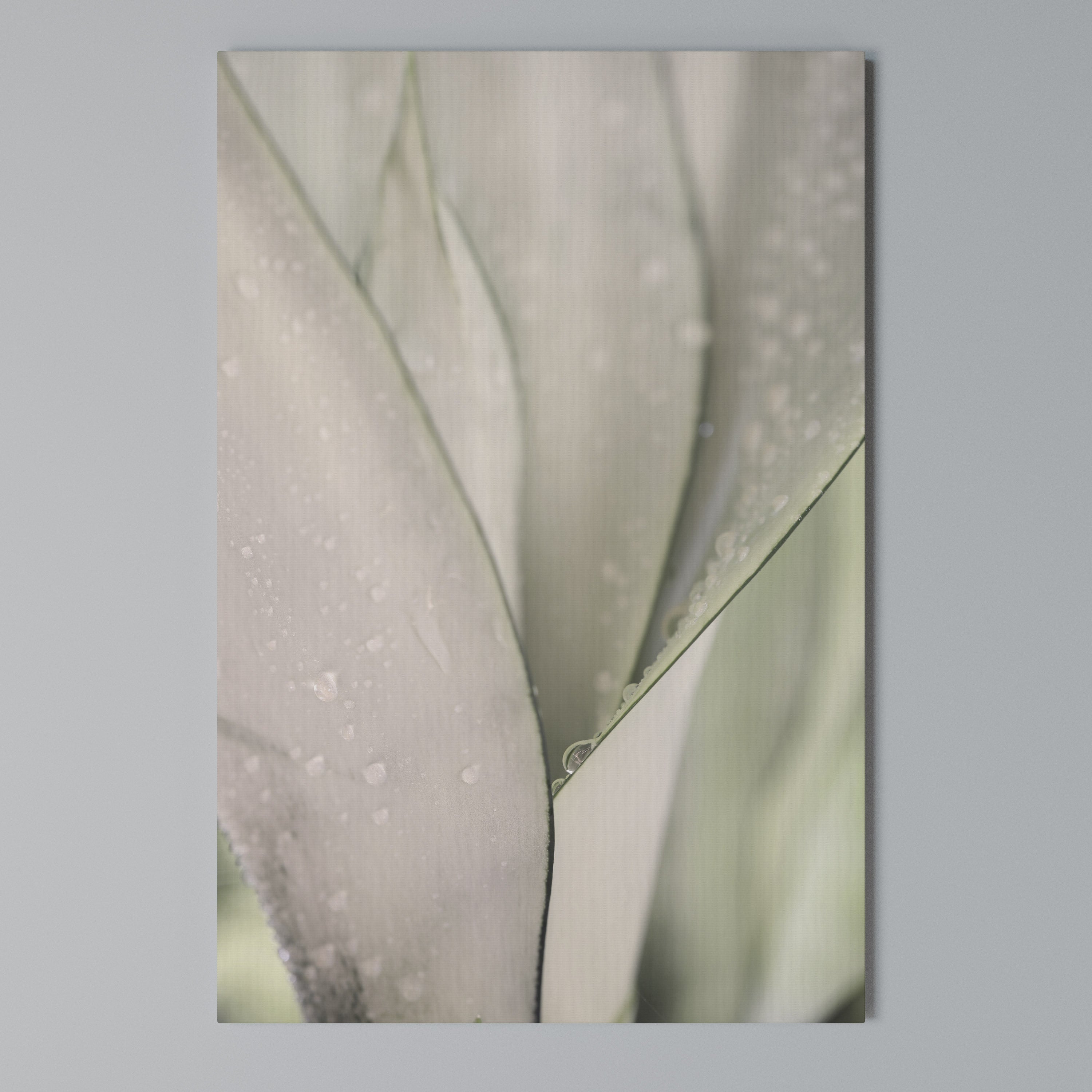 NATURE'S TAPESTRY Quadro em tela vertical