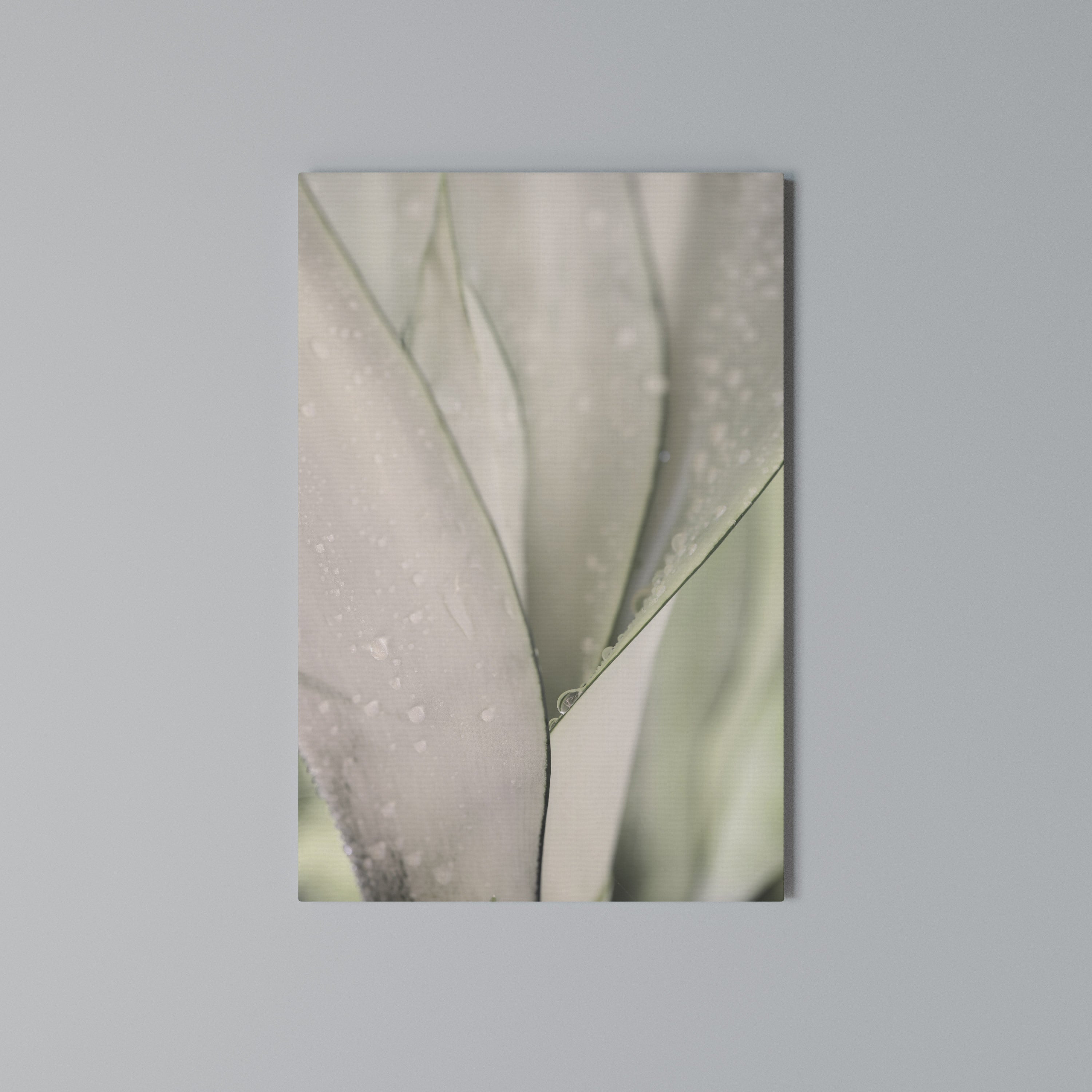 NATURE'S TAPESTRY Quadro em tela vertical