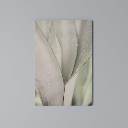 NATURE'S TAPESTRY Vertical Canvas Print