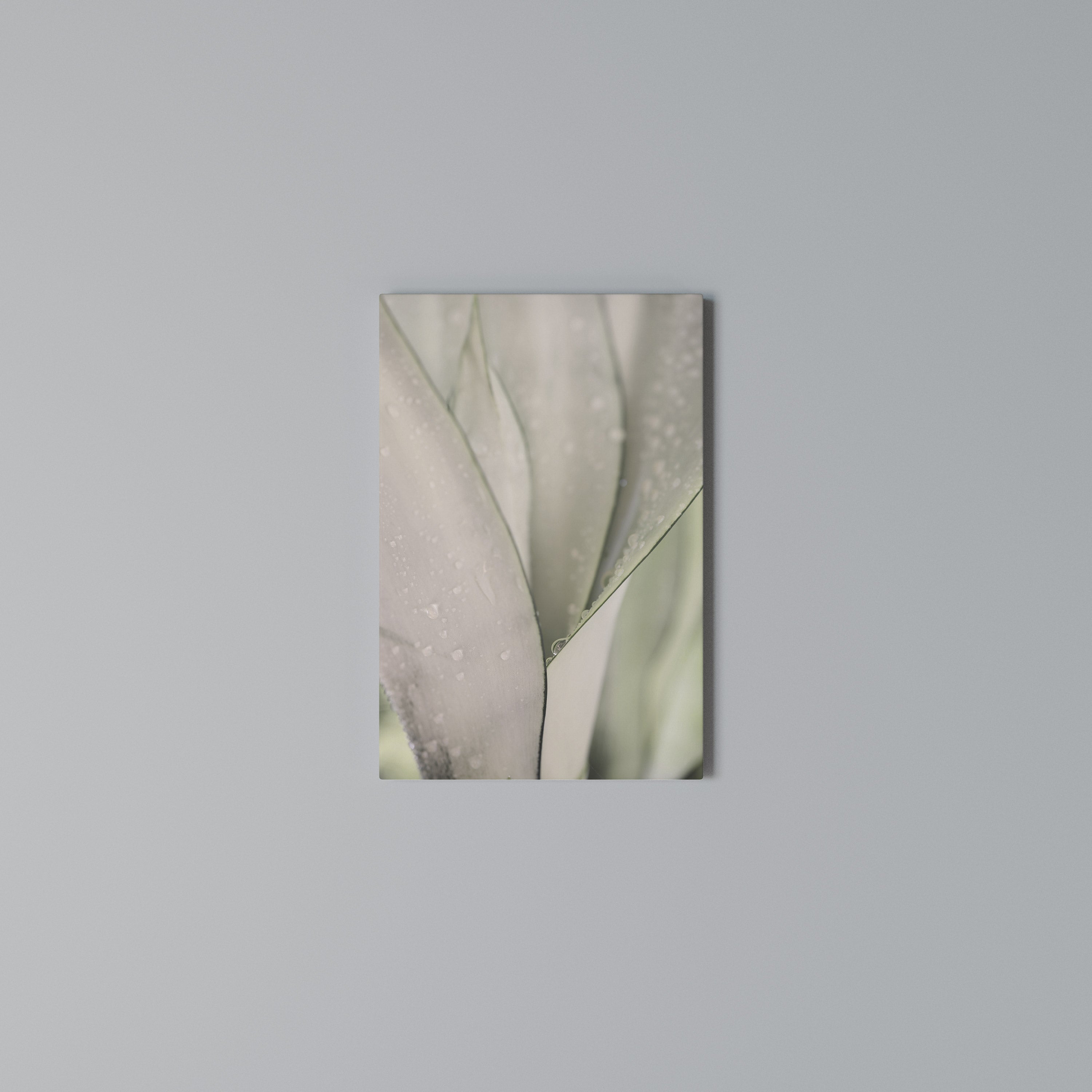 NATURE'S TAPESTRY Quadro em tela vertical