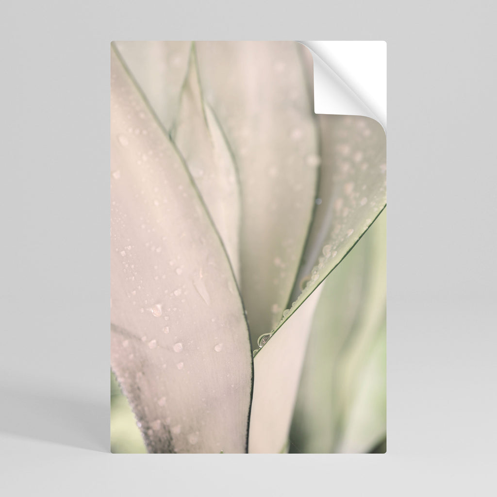 NATURE'S TAPESTRY Poster Vertical Autocolante