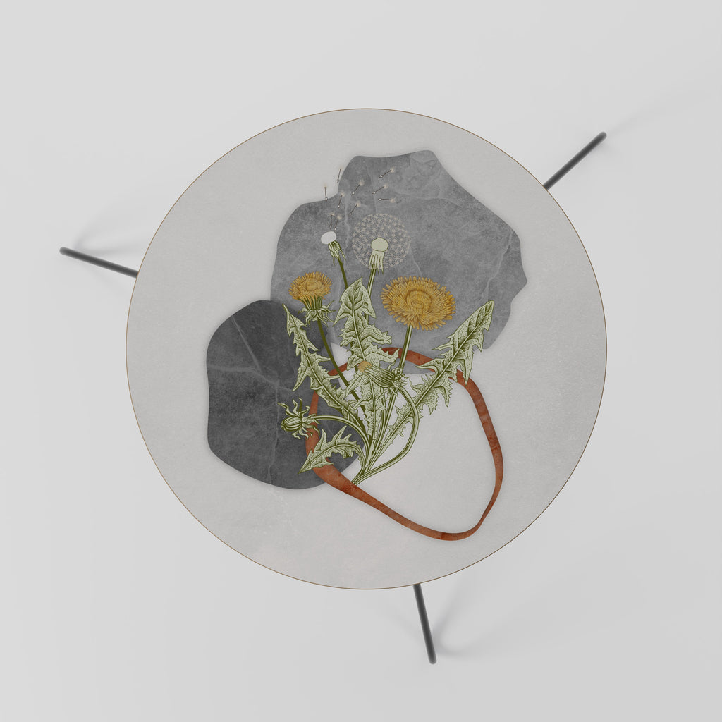 DANDELION RING Mesa de Centro 60