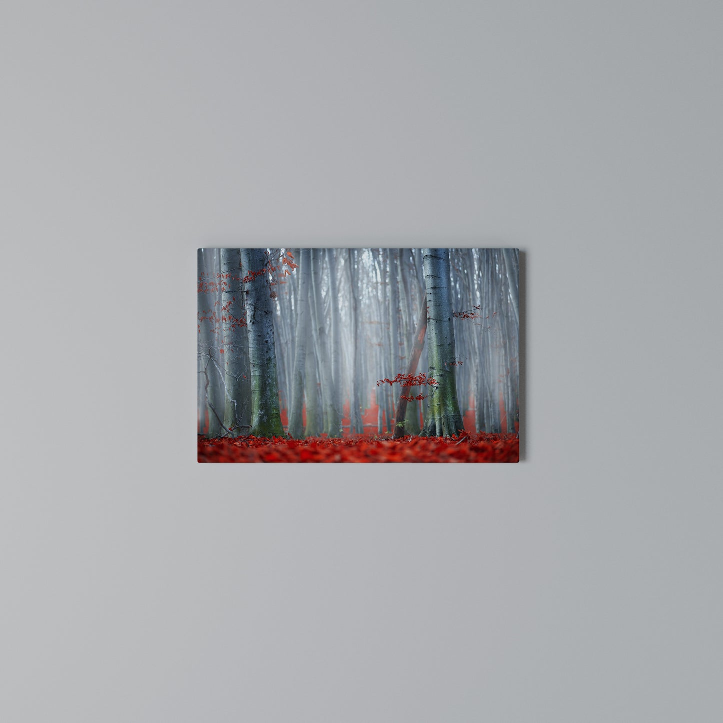 TRANQUIL RED ELEGANCE Horizontal Canvas Print