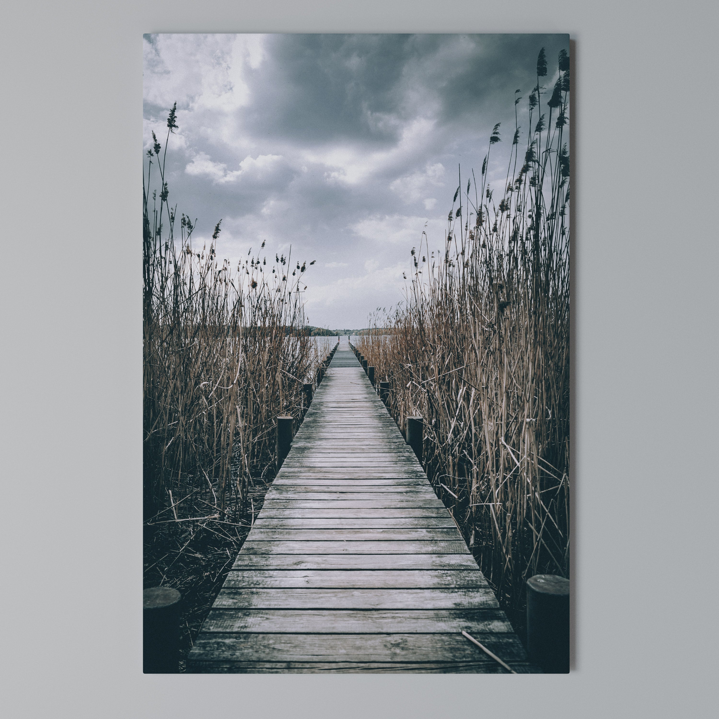 GAZE INTO STILLNESS Quadro em tela vertical