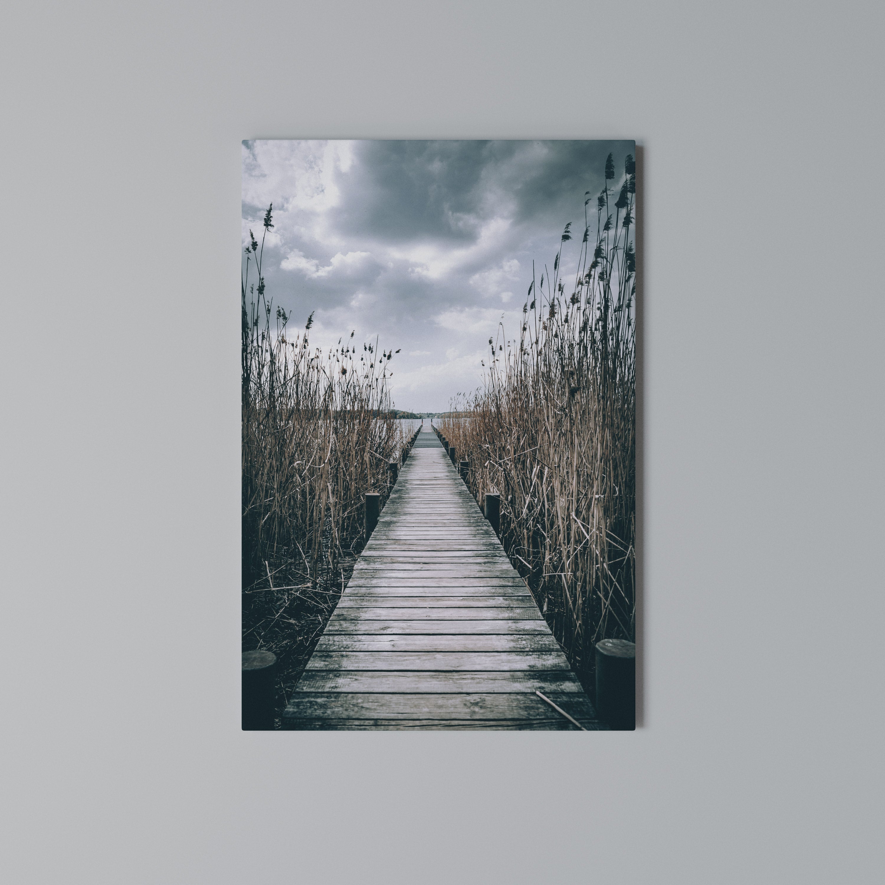 GAZE INTO STILLNESS Quadro em tela vertical