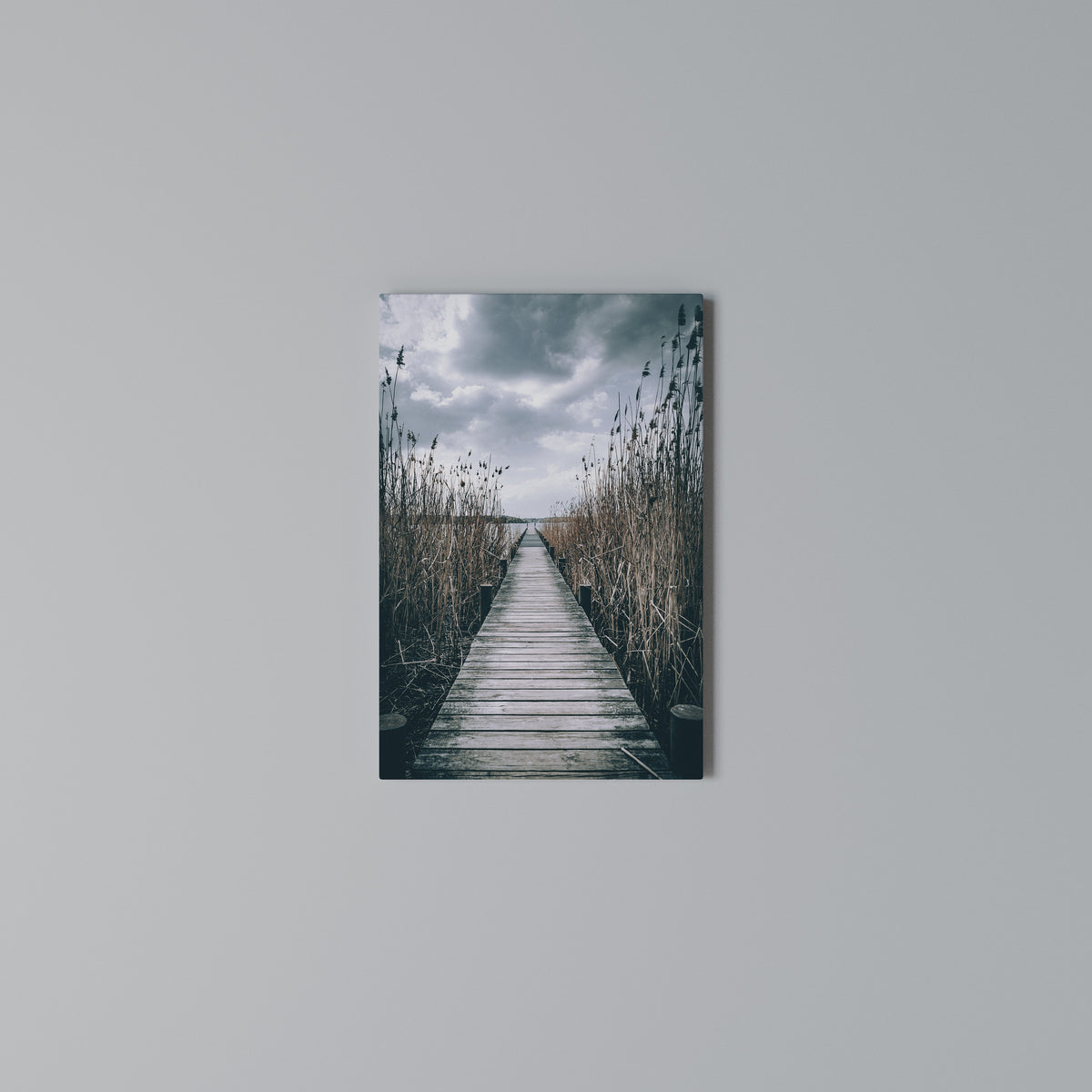 GAZE INTO STILLNESS Quadro em tela vertical
