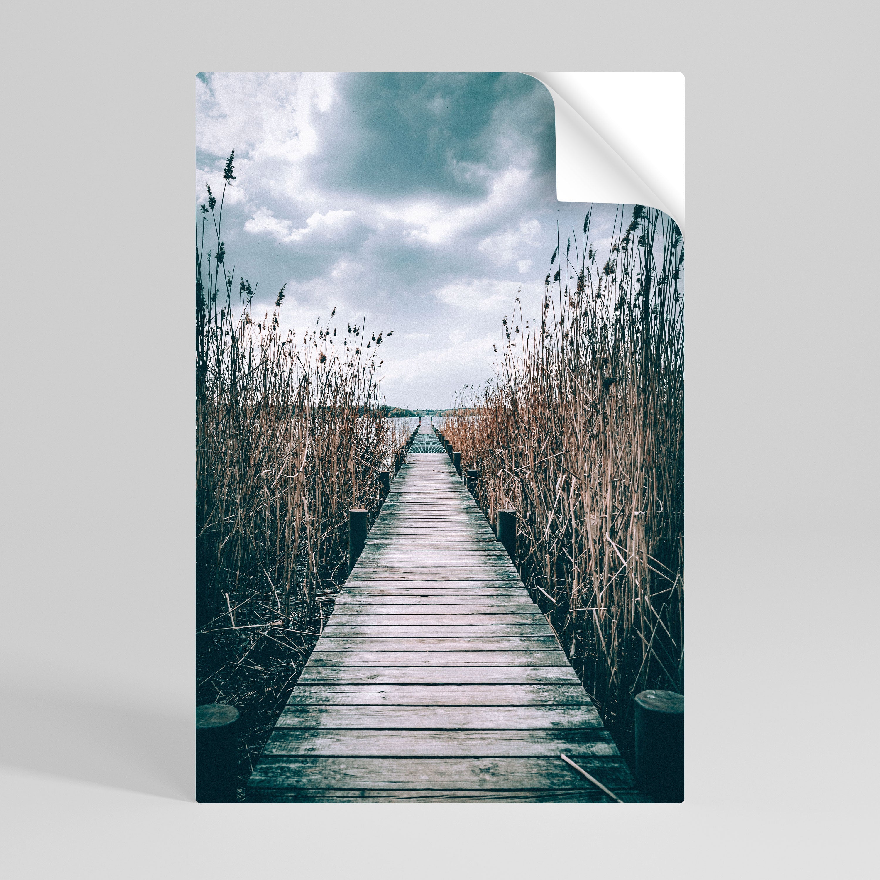 GAZE INTO STILLNESS Poster Vertical Autocolante