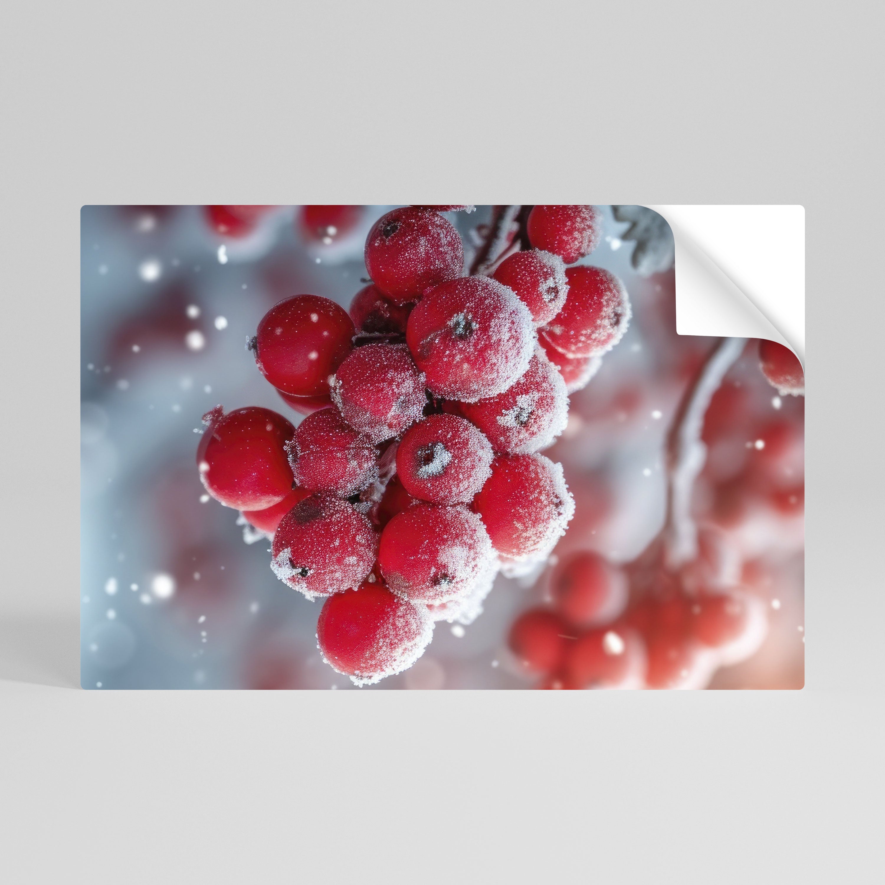WINTER'S CRIMSON TREASURES Póster Autocolante Horizontal