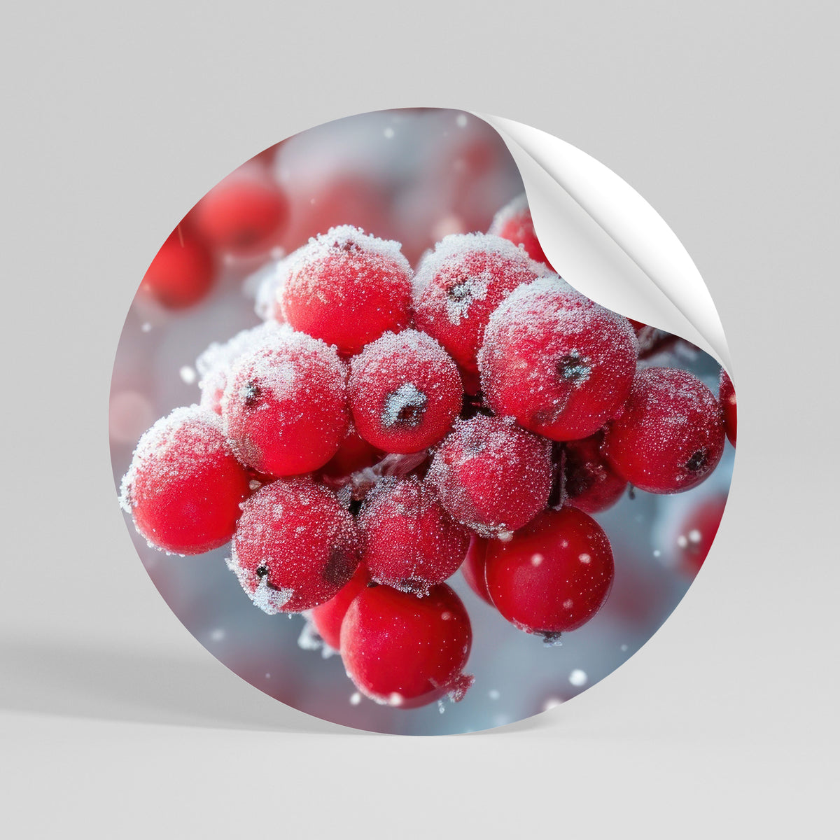 WINTER'S CRIMSON TREASURES Autocolante Redondo Removível