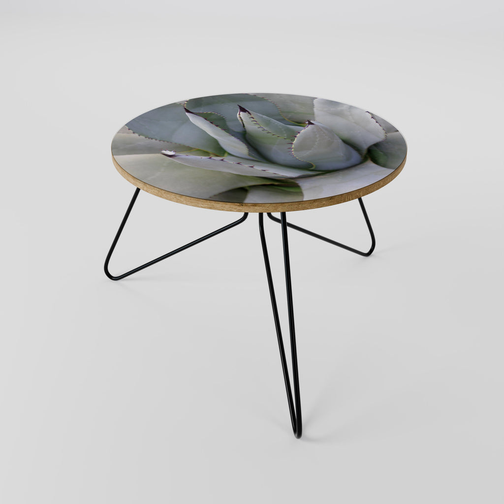 AGAVE ELEGANCE Coffee Table 60