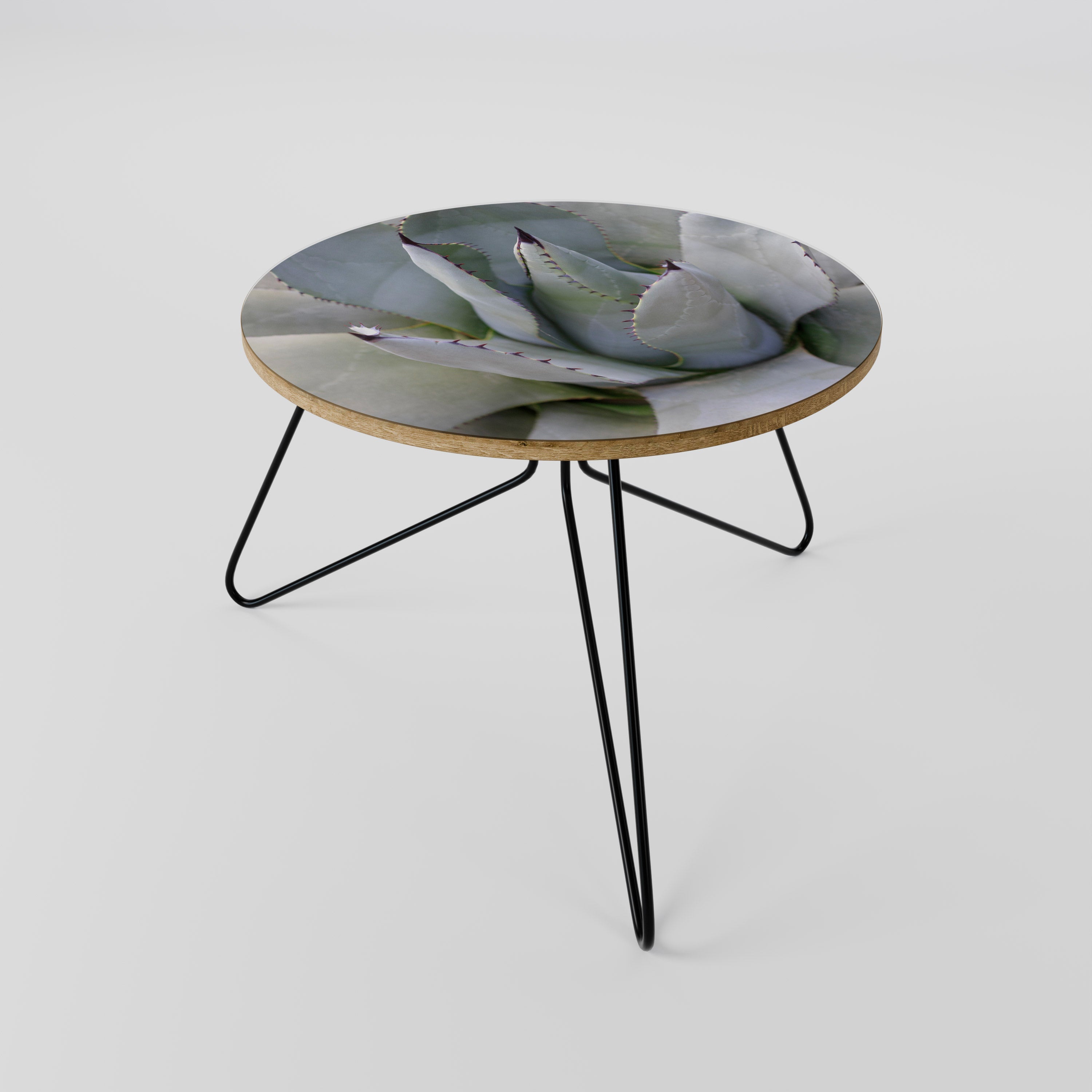 AGAVE ELEGANCE Coffee Table 60