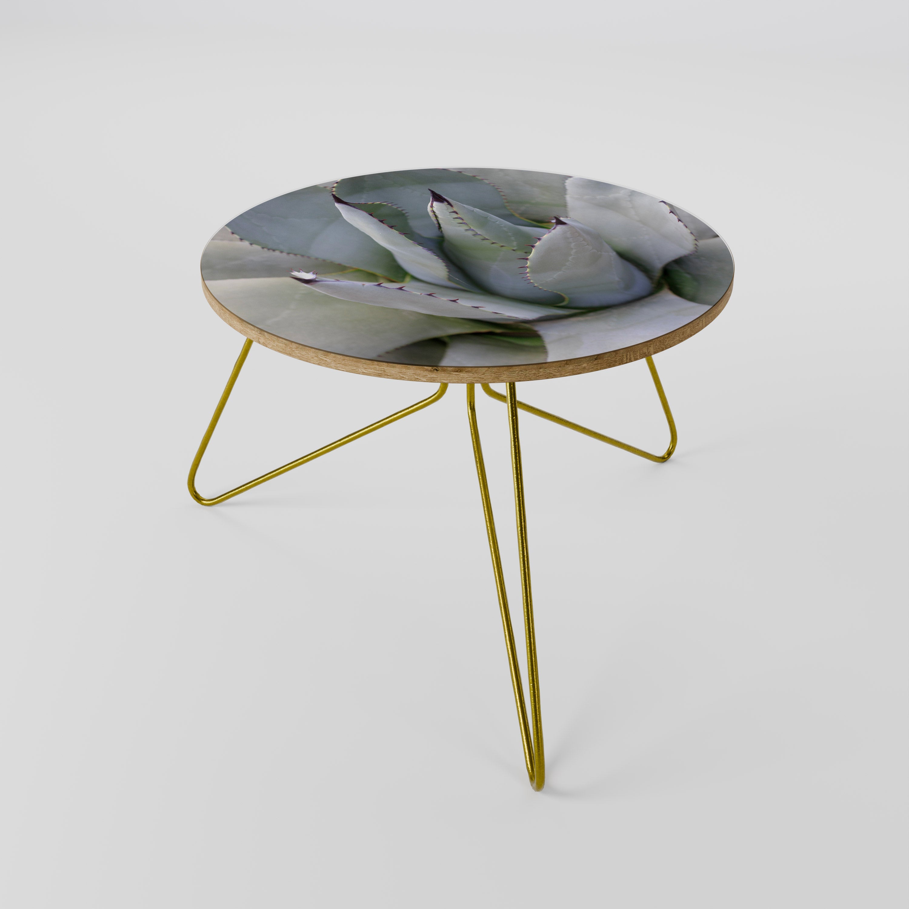 AGAVE ELEGANCE Coffee Table 60