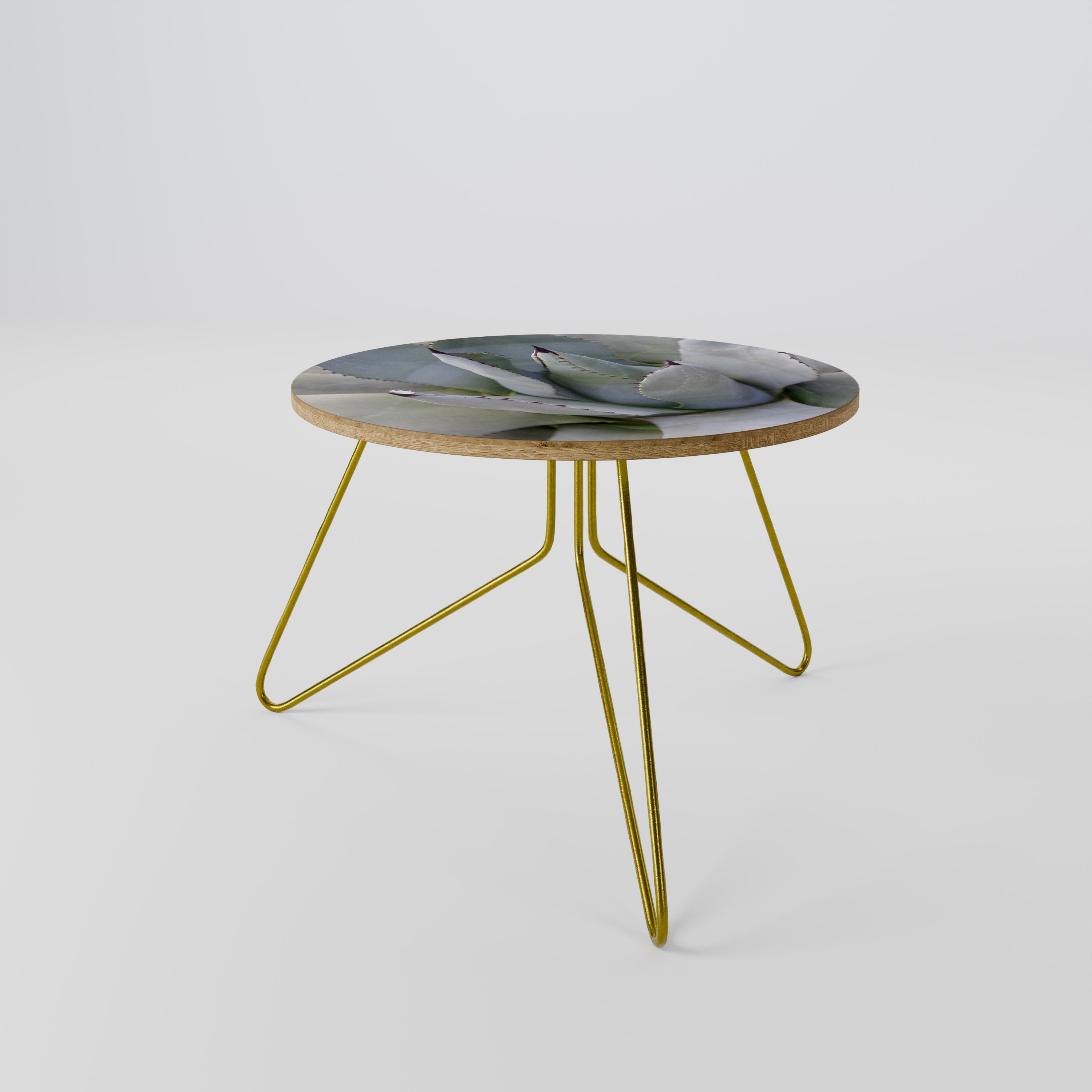 AGAVE ELEGANCE Coffee Table 60