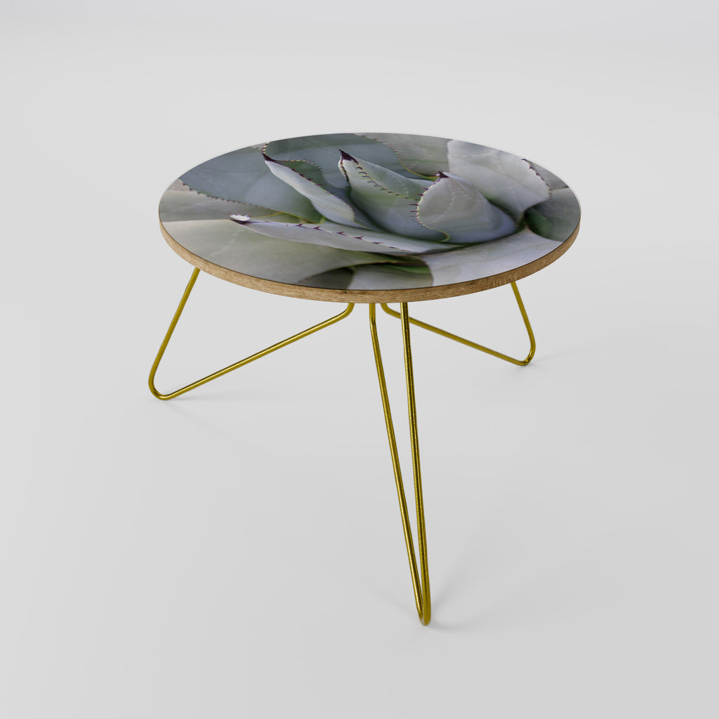AGAVE ELEGANCE Coffee Table