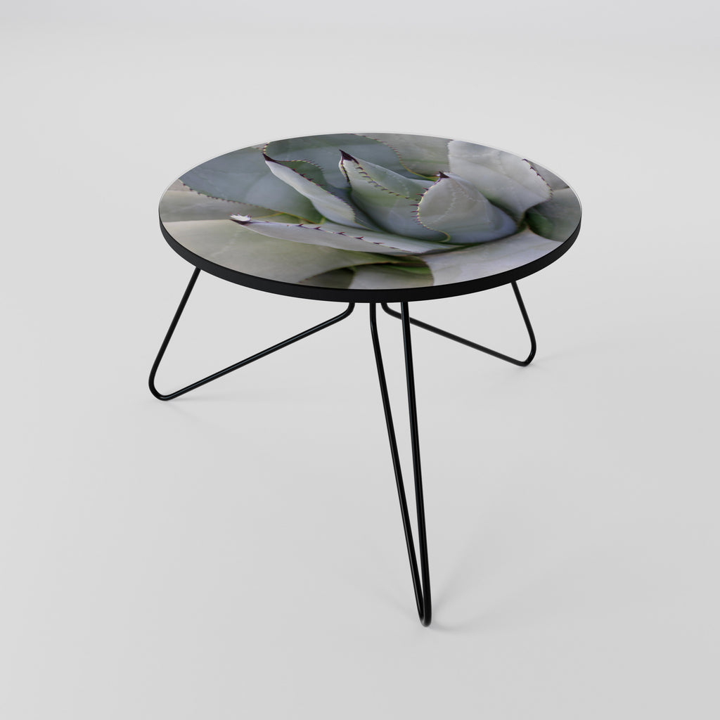 AGAVE ELEGANCE Coffee Table