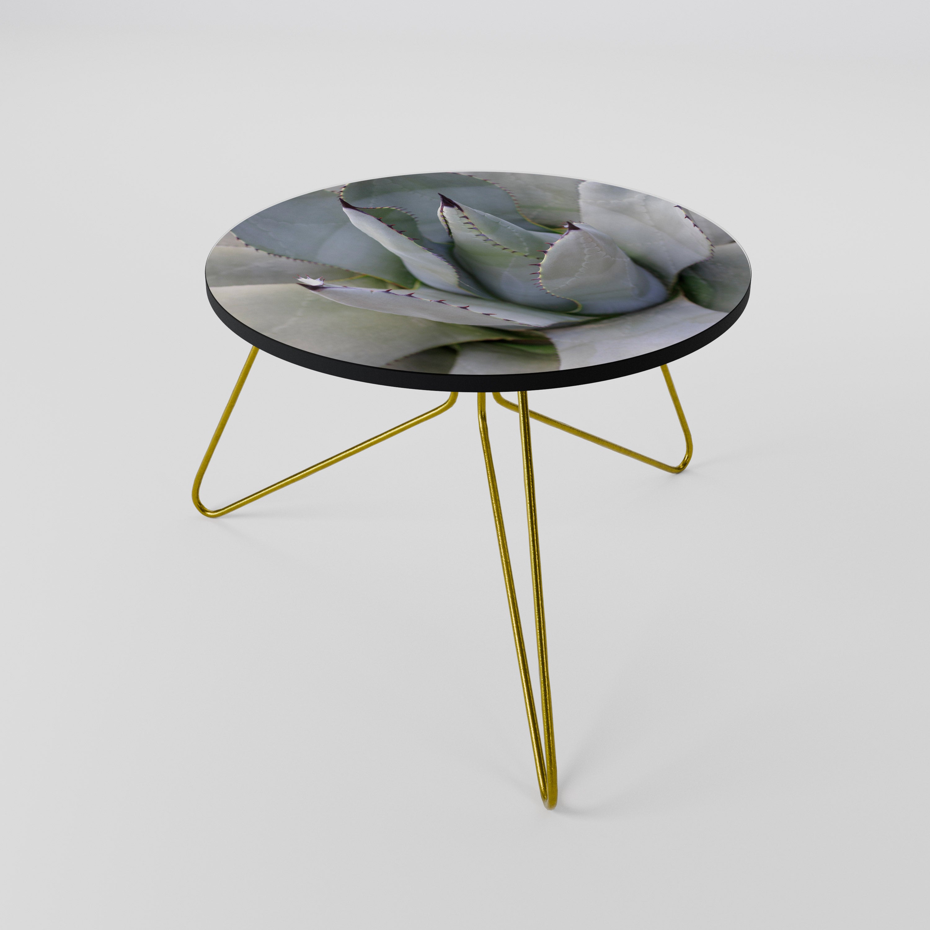 AGAVE ELEGANCE Coffee Table 60