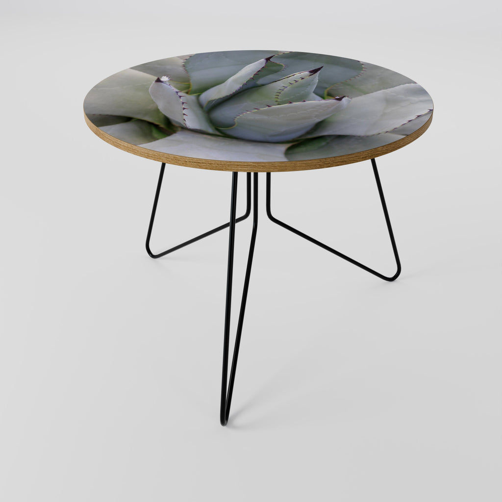 AGAVE ELEGANCE Coffee Table 69