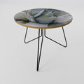 AGAVE ELEGANCE Coffee Table 69