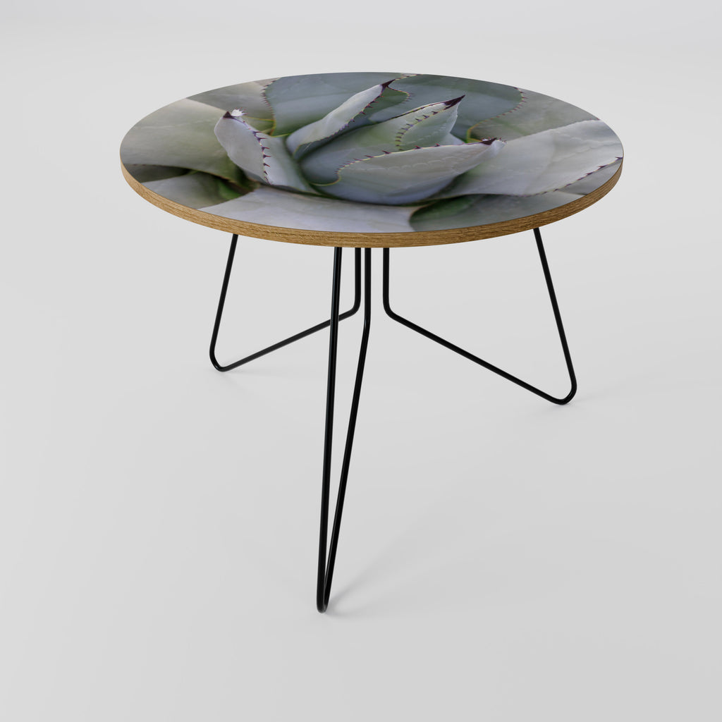 AGAVE ELEGANCE Coffee Table