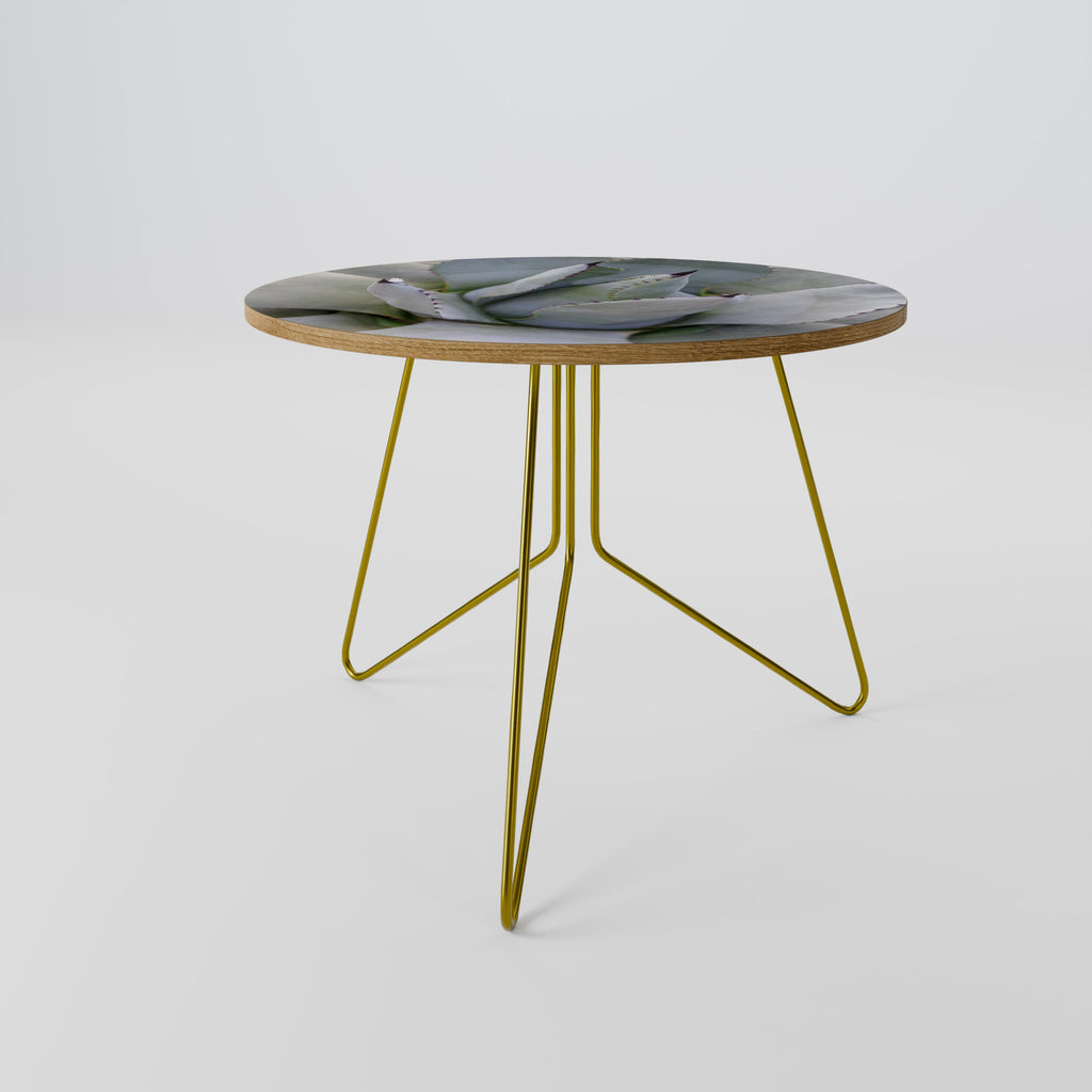 AGAVE ELEGANCE Coffee Table 69