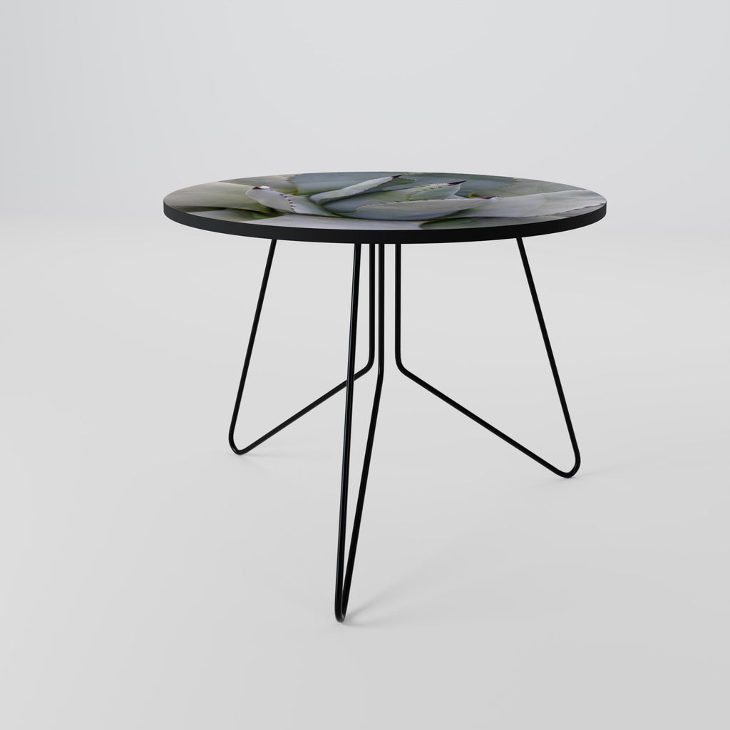 AGAVE ELEGANCE Coffee Table 69