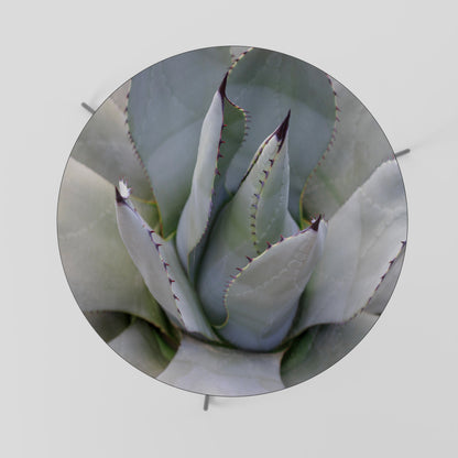 AGAVE ELEGANCE Mesa de Centro