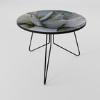 AGAVE ELEGANCE Coffee Table