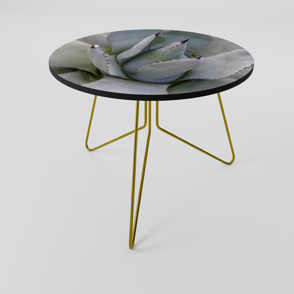 AGAVE ELEGANCE Coffee Table