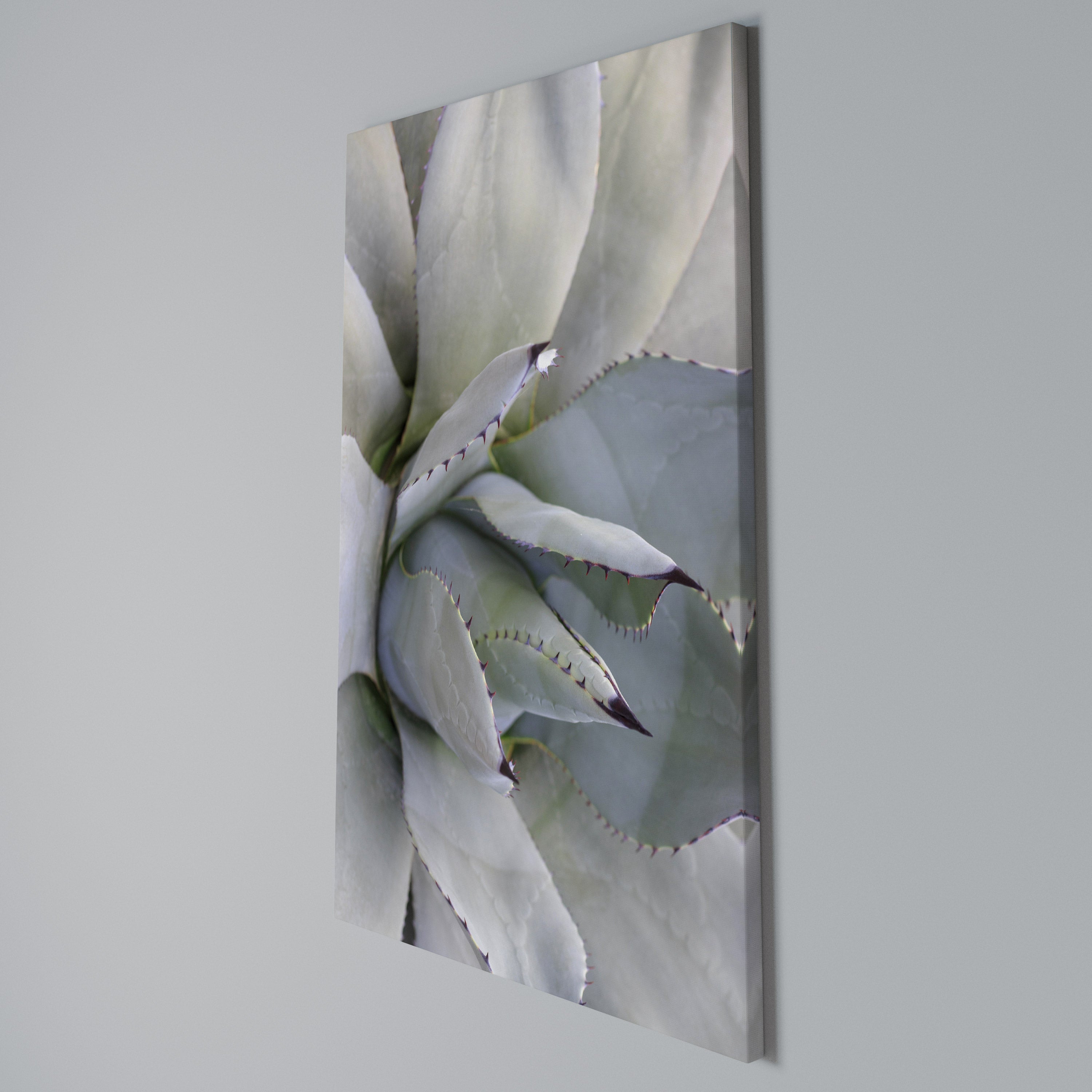 AGAVE ELEGANCE Quadro em tela vertical